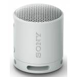 Sony - SRS-XB100H BT Lautsprecher grau (SRSXB100H.CE7)
