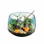 Clementoni - Harry Potter - Terrarium